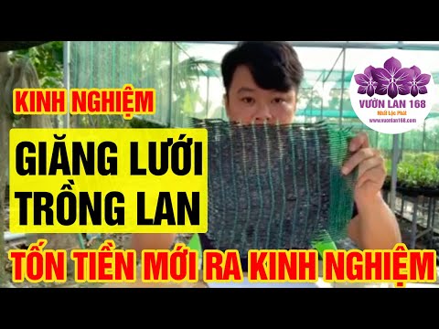 Video Cách Giăng Lưới Che Nắng Trồng Lan Cho Nhà Vườn, Sân... - youtube