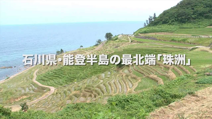 ひとにぎりの塩 予告編