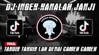 DJ INGEK KANALAH JANJI REMIX FULL BASS‼️TAKUIK TAKUIK LAH DENAI  | Luxica Remix 