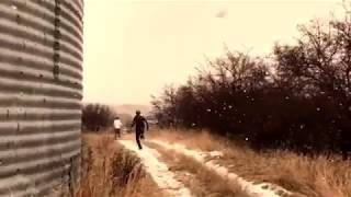 The Swindlers Trailer