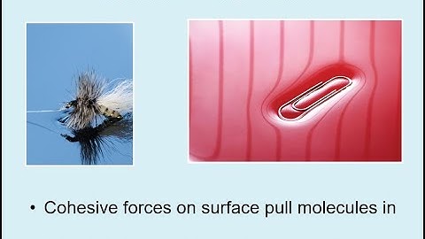 CHM 112 C11 Lecture 4 (18:00)