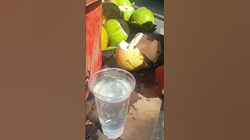 The Best Machetes for Opening Coconuts