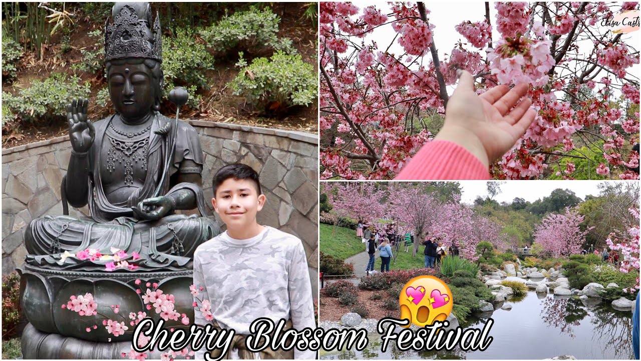 VLOG 37 Cherry Blossom Festival Japanese Friendship Garden Balboa Park