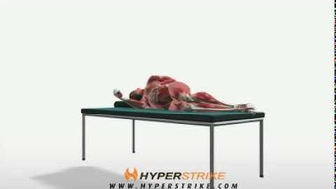 Exercise Videos- Dumbbell Shoulder Internal Rotation -- Side Lying