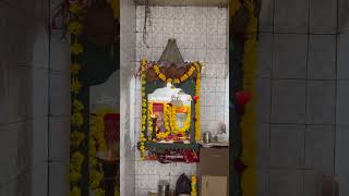 Jay Narsang Vir Dada  narsangavir ranuj shorts patan bhajan ytshorts