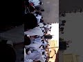 المادح محمد الخير عباس مدحة النادر أبو النسيم المادح محمد الخير عباس مدحة النادر أبو النسيم