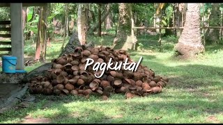 DOCUMENTARY | G4 | BROADCASTING 4A | "Pagkutal"