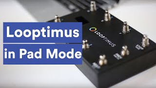 Looptimus Tutorial - Pad Mode