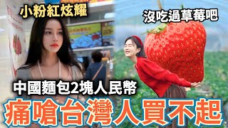 中國麵包2塊！小粉紅嗆：我打工一小時可以買草莓，台灣吃不起吧⋯台灣人反嗆：台灣高級餐廳都訂不到，誰還跟你吃草莓麵包