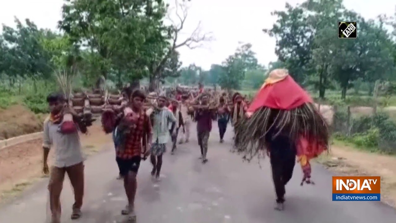 Villagers Protest For Cash Payment Of Plucking Tendu Leaves In
