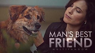 Man's Best Friend | Multifandom