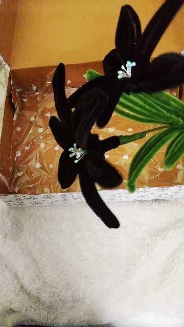 My first order, customized black lily packed#flowers - YouTube