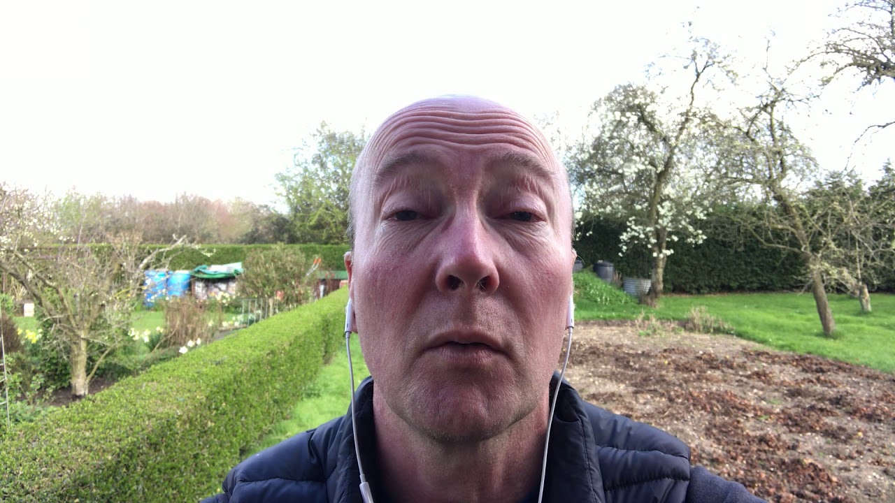 Internal Environment Pt.1 - Auditory