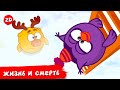 Жизнь и смерть | Смешарики 2D | Сборник 2024