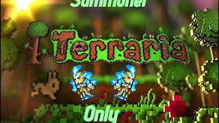 Terraria, but Summoner Only! Episode #2