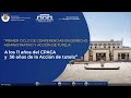 15. A los 11 años del CPACA y 30 años de la Acción de Tutela   Control de constitucionalidad CE