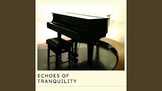 Echoes of Harmony
