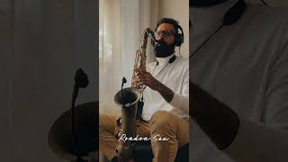 Yesterday - The Beatles - Rondon Sax (Saxophone cover)