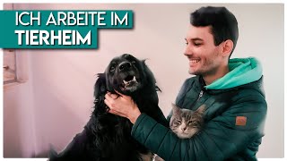 1 Tag als TIERPFLEGER bringt mich an meine Grenzen - Arbeiten im Tierheim Koblenz | alexOmay