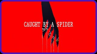 Caught by a spider - All endings