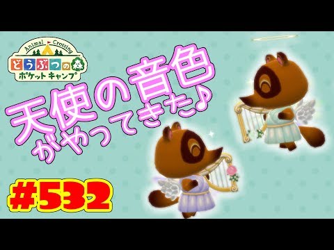 ポケ 森 アイス ケース