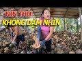 Toát mồ hôi NÍN THỜ KHÔNG DÁM NHÌN nghề bóc lột của bà con BẾN TRE XỨ DỪA MIỀN TÂY