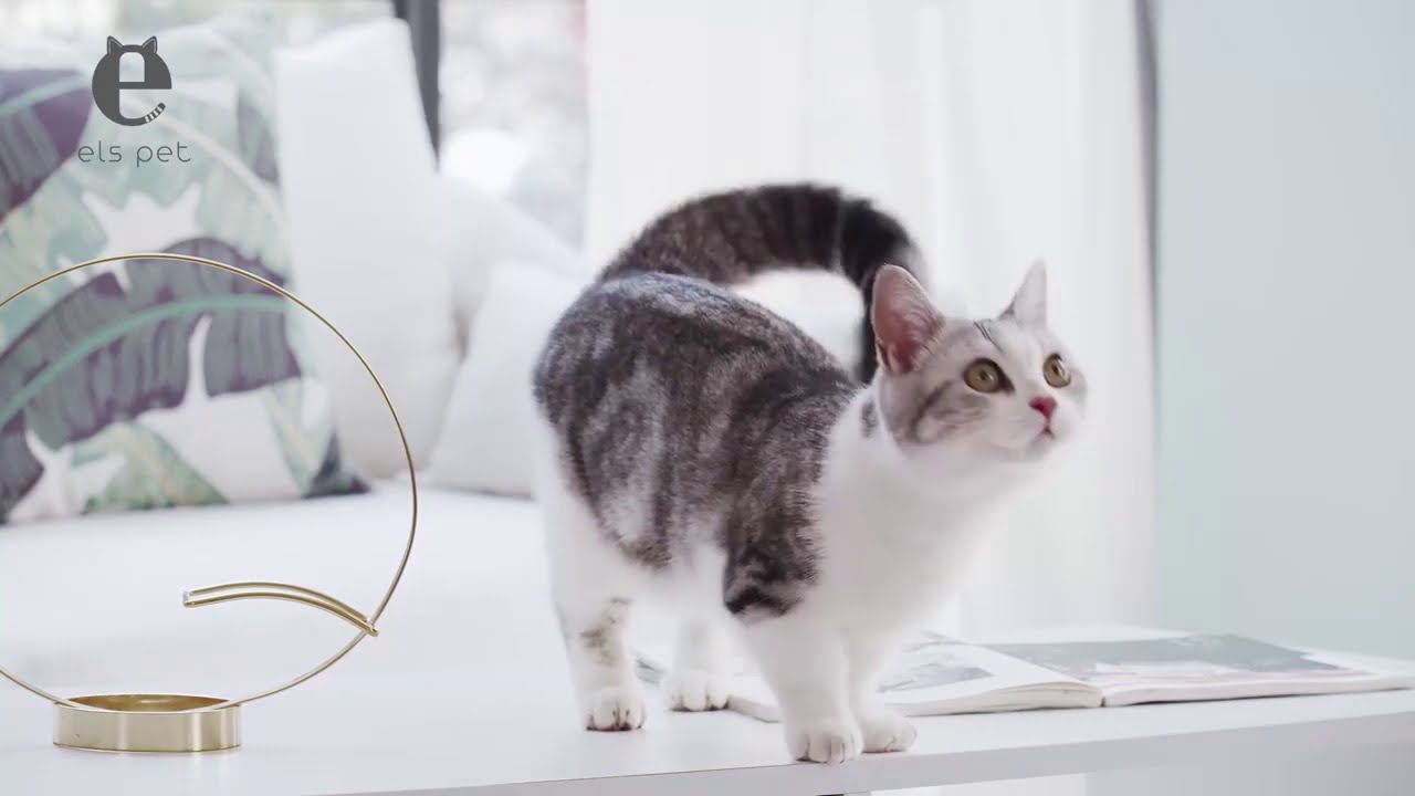 Автоматическая кормушка для кошек и собак Els Pet 4L, смарт кормушка c WIFI, Белый