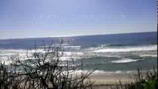 Cliff view of big waves at carlsbad state beach march 10th, 2014 -
winter