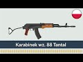 Karabinek wz 88 tantal