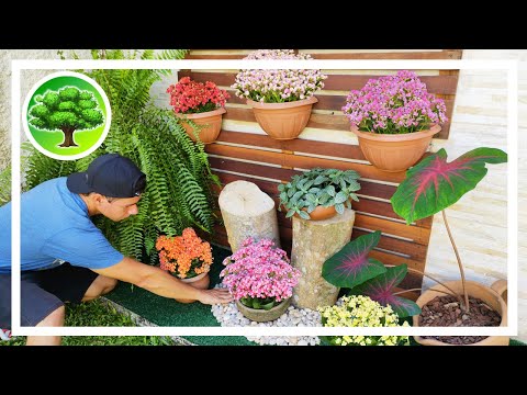 Vídeo: Como Criar Um Jardim De Flores Com Sombra