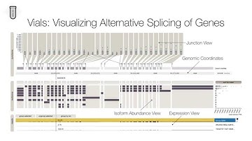 Vials: Visualizing Alternative Splicing of Genes Preview