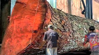 Sawing Mahogany is Unprofitable || sawmill kayu