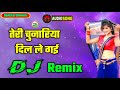 Teri chunariya dil le gai hindi love dj remix song