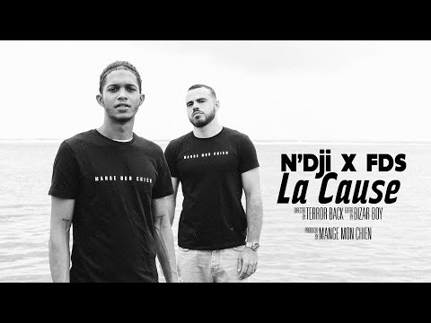 LA CAUSE - NDJI x FDS  [CLIP OFFICIEL]