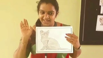 Std 2 English Unit 1 Class 03  White Board ASD