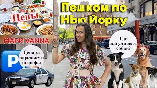 Жара в центре Нью Йорка 🔥 / Цены в ресторане Мари Ванна