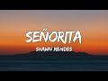 Shawn Mendes & Camila Cabello - Señorita (Lyrics)