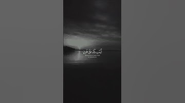 القارئ عبدالرحمن مسعد 🍂🍁 سورة النحل 🍂🍂
