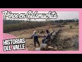 PORQUE hay PINOS en el Valle de CALAMUCHITA?