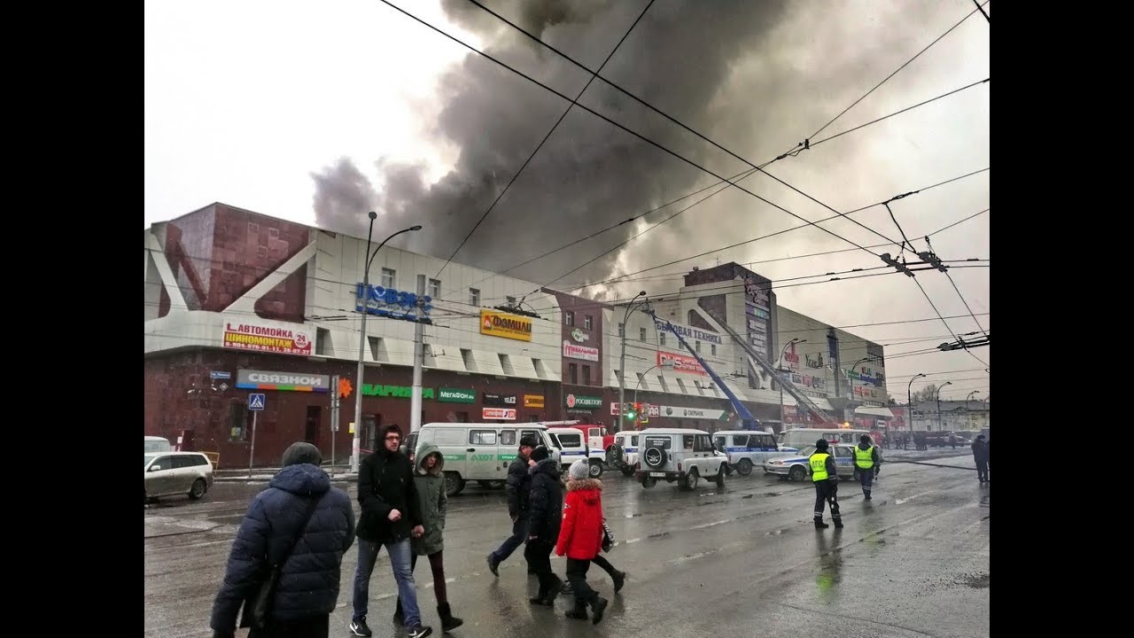 Зимняя вишня кемерово сейчас фото