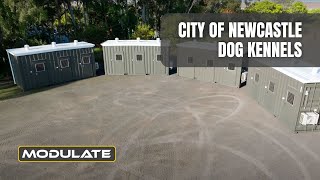 Custom-Built Kennel Containers for Newcastle City Council | Secure & Comfortable Dog Housing