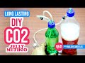 DIY CO2 | Jelly Method | Long Lasting DIY CO2 for Planted Aquarium | Hindi