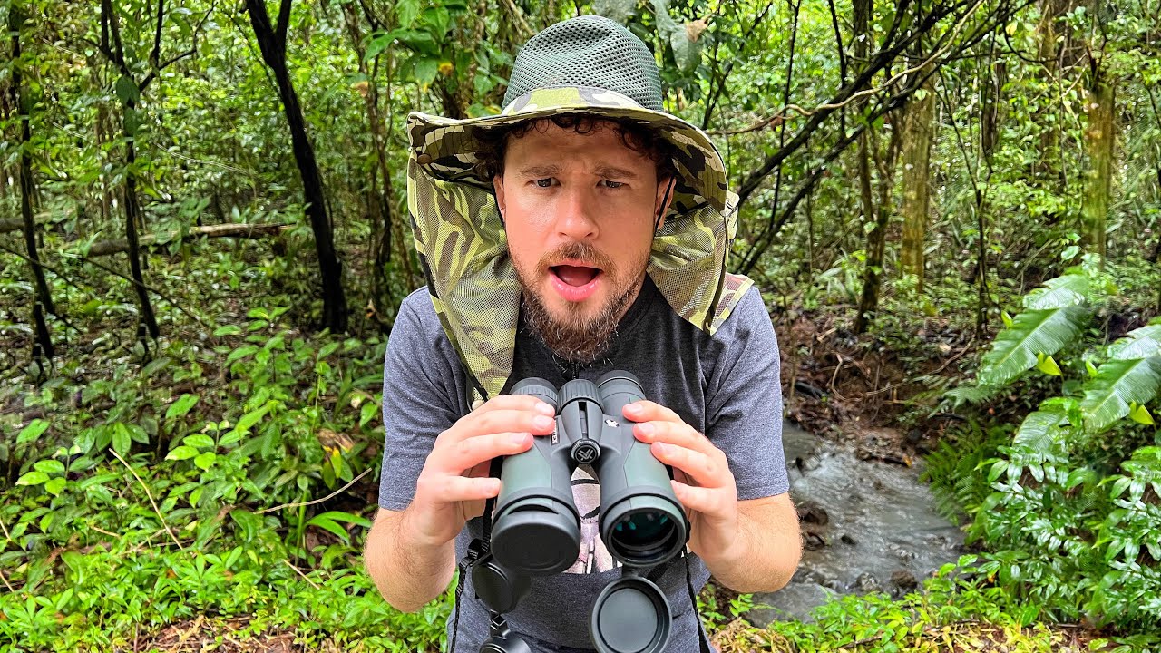 Buscando animales exóticos en el bosque de Costa Rica 🇨🇷🔭
