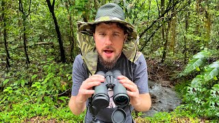 Looking for exotic animals in the Costa Rican forest