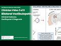 3/6 video- Bilateral Vestibulopathy: Clinical Features, Aetiology and Diagnostic Criteria