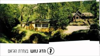 הדג נחש - סטטיסטיקה // Hadag Nahash - Statistics