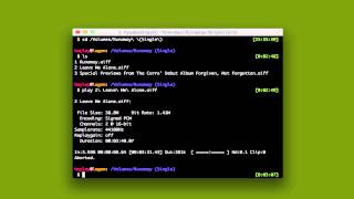 using sox to reverse mp3 files at the command line