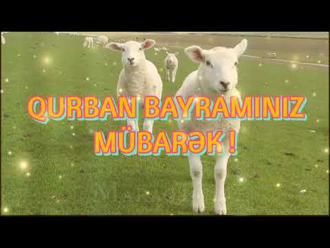 Qurban Bayramınız Mübarək 2022 (Whatsapp status üçün) - # video126