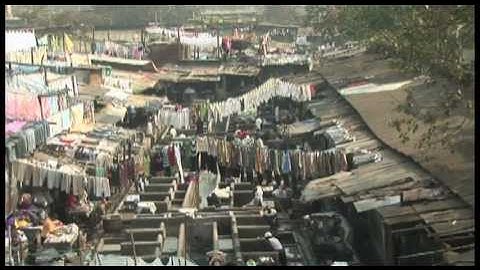 Foresight - Migration and Global Environmental Change