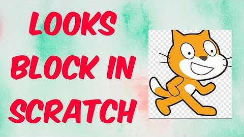 Looks Block in Scratch